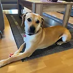 Charlys Bleibe Gastunterkunft Inmitten Der Apartment *